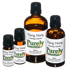 Ylang essential - ylang, oil