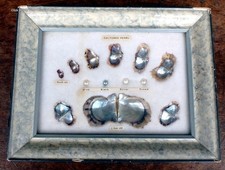 Vintage real pearl display
