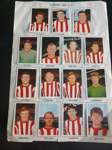 Sunderland football team - , 15