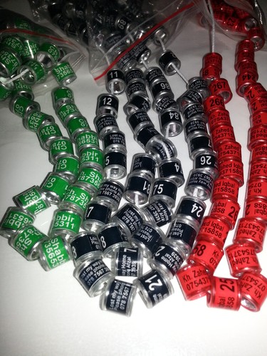 Racing pigeon aluminium rings - aluminium,