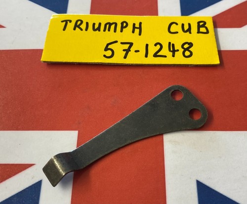 Genuine triumph tiger - genuine, cub