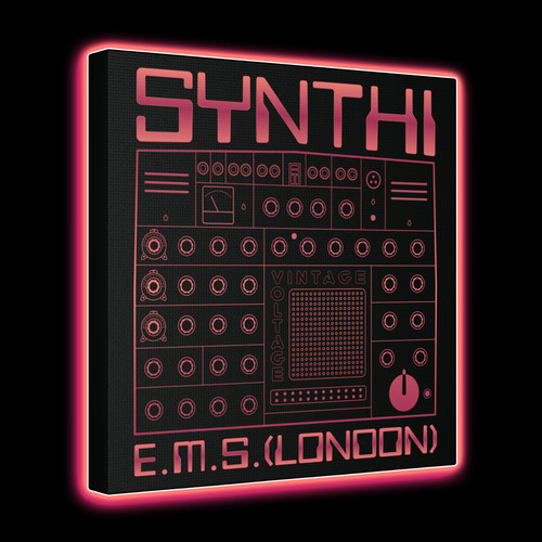 Ems synthi canvas wall - synthi,