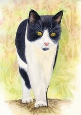 Tuxedo Cat  Full Body, Pet Portrait PRINT from an Original Watercolour Painting