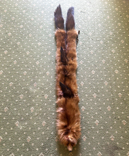 Fox fur animal pelt stole - fur, pelt/stole