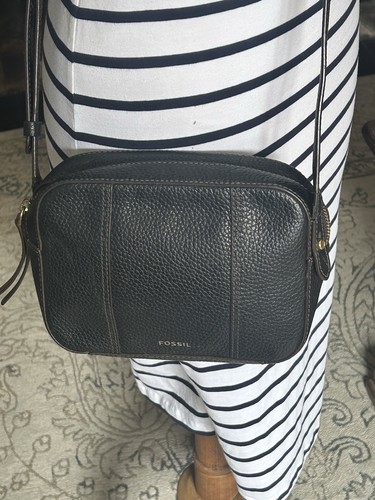 Fossil gemma black pebbled - fossil,