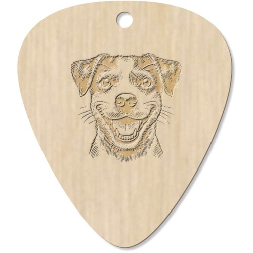 Jack russell terrier - x,