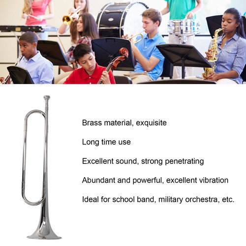 Bugle instrument - d-bugle,