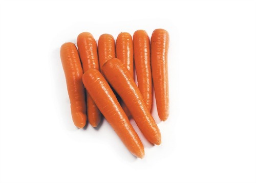 Carrot eskimo seeds - eskimo,