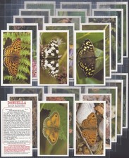 PLAYERS DONCELLA-FULL SET-