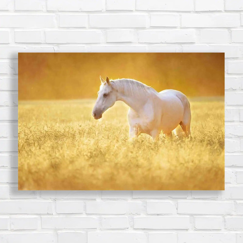 Orlov trotter horse - trotter,
