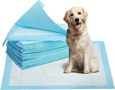 Large puppy training - puppy, pads