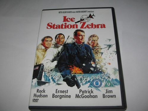 Ice station zebra rock - ,