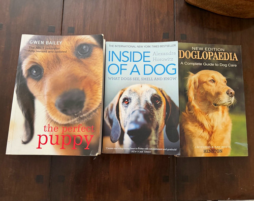 Inside dog the perfect - a,