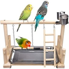 Parrot Playstand Bird Play Stand Cockatiel Playground Wood Perch Gym Bird Toy UK