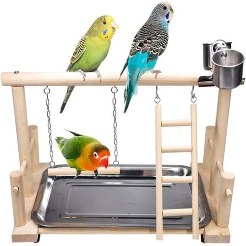 Parrot playstand bird play - playstand,
