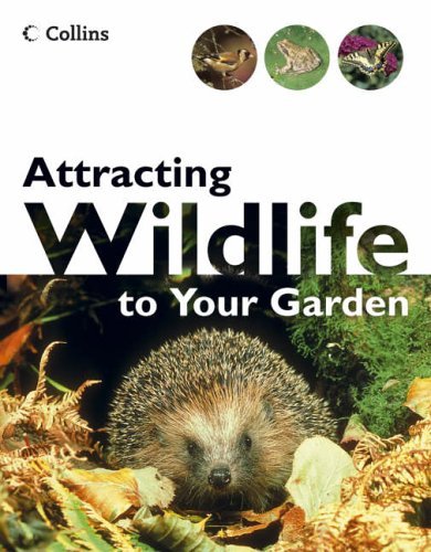 Attracting wildlife your - attracting,