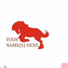 PERSONALISED Jockey Skull Hat Silk / Riding Hat Cover ~ Cob Design ~ Horse/Pony