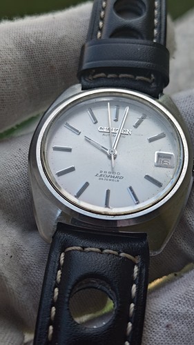 Vintage 1971 citizen leopard - 1971,