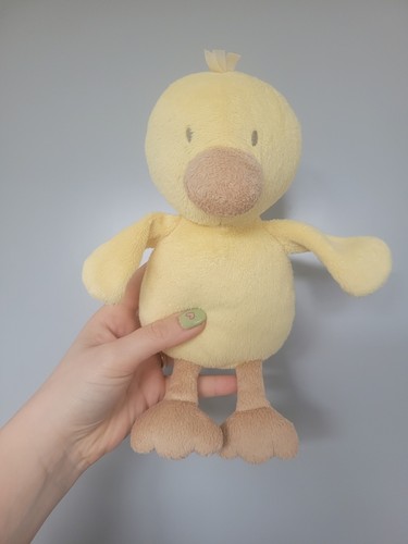 Duck chick with - duck,