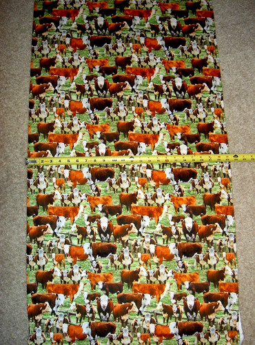 Cows cow calf - calf, calves