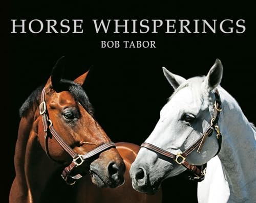 Horse whisperings portraits - horse, whisperings: