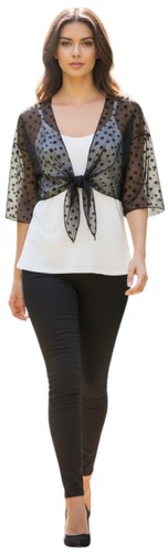 Sheer black chiffon mesh - chiffon,