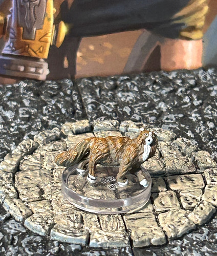 Cat miniature dungeons - d&d,