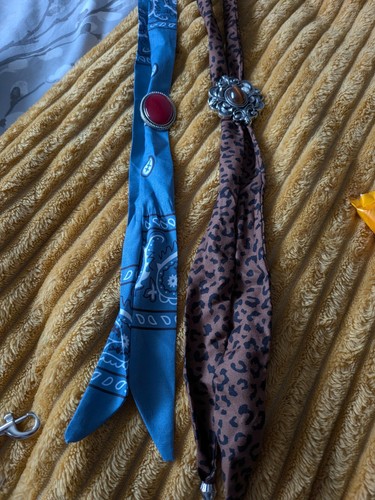 Bolo type ties - 2,