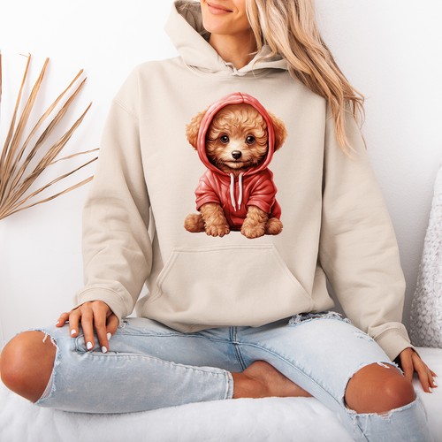 Cute fluffy poodle - cute,