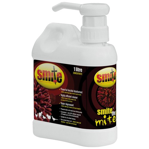 Concentrate disinfectant smite - concentrate,