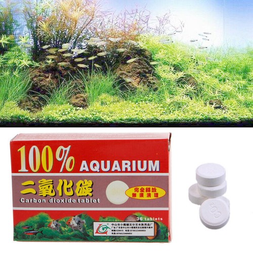 72pcs co2 carbon - dioxide, plant
