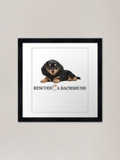 Dachshund puppy gift rescued - dachshund,