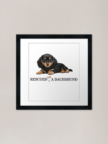 Dachshund puppy gift rescued - dachshund,