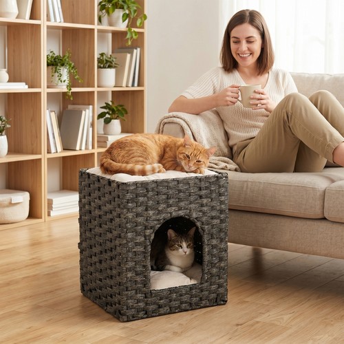 Tier wicker cat - 2-tier,