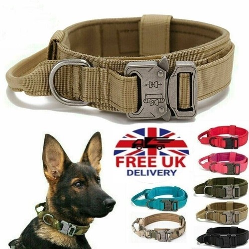Universal tactical dog - universal, collar