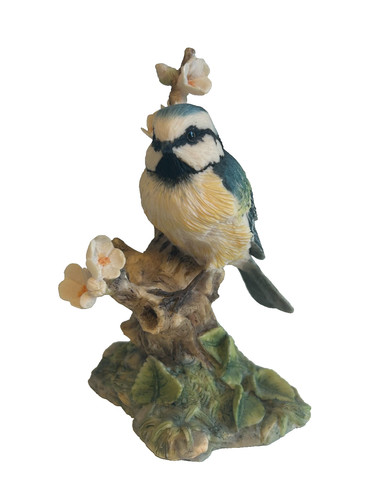 Border fine arts - fine, bluetit
