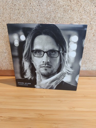Steven wilson transience - steven, wilson-transience