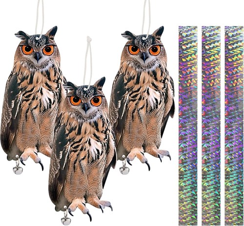 3pcs owl bird - 3pcs,