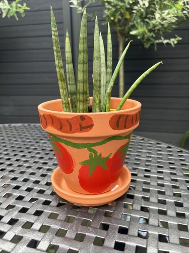 Terracotta hand painted - terracotta,
