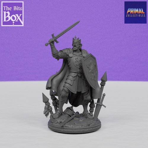 Adult king arthur - adult,