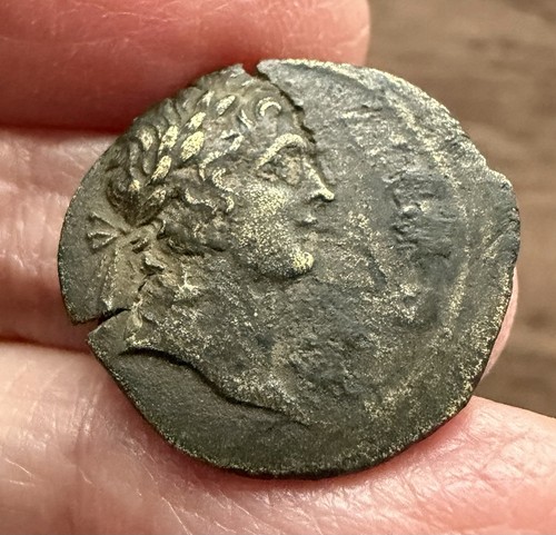 Caria apollonia salbake - apollonia,