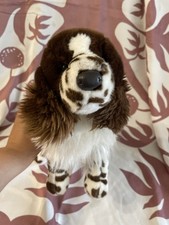 OGILVY SPRINGER SPANIEL