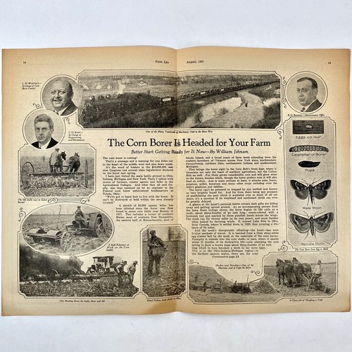 Antique 1927 corn borer - antique,