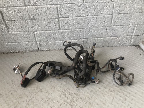 Discovery engine wiring loom - 4,