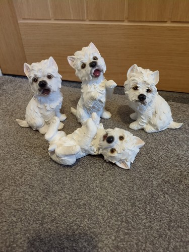 Collection westie scottie - collection,