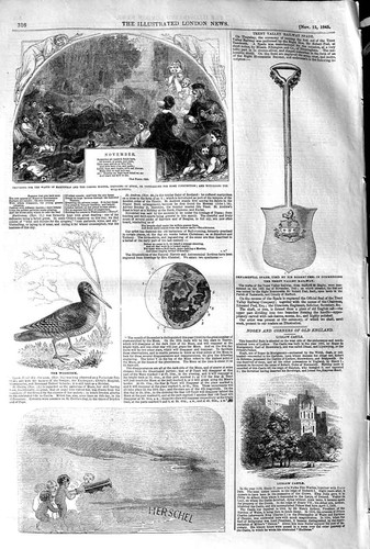 Old antique print - old,