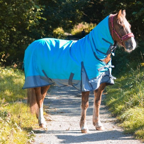600d lightweight turnout horse - lightweight,