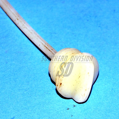 4771 dipstick dip stick - 57-4771,