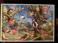 EUROPEAN BIRDS 1000 PIECE