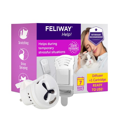 Feliway help day cat - help!,